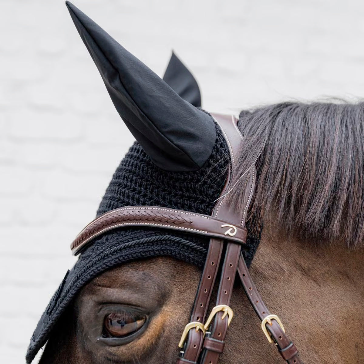 Browband V-Shaped Plaited NE/D Collections