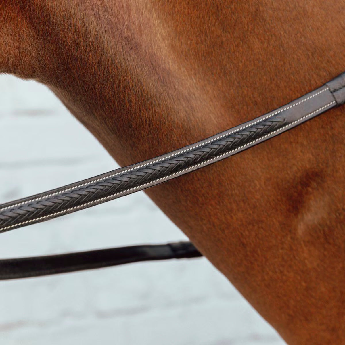 Ohjat Plaited Rubber 5/8" with 7 Leather Loops NE/D Collections