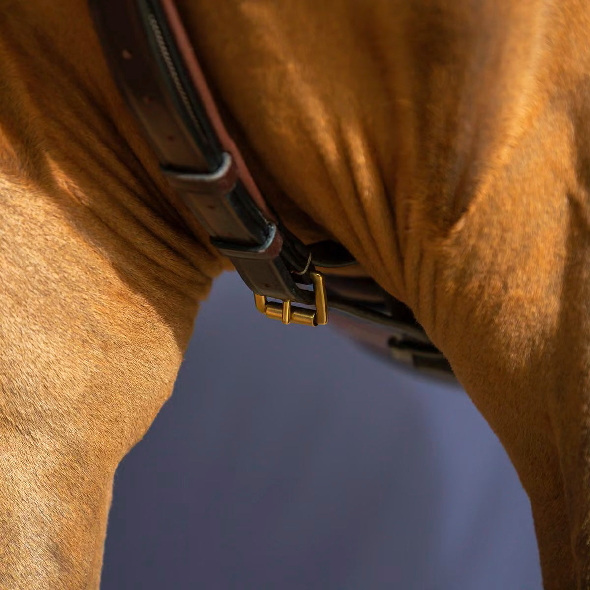 Martingale Yoke NE/US/D Collections