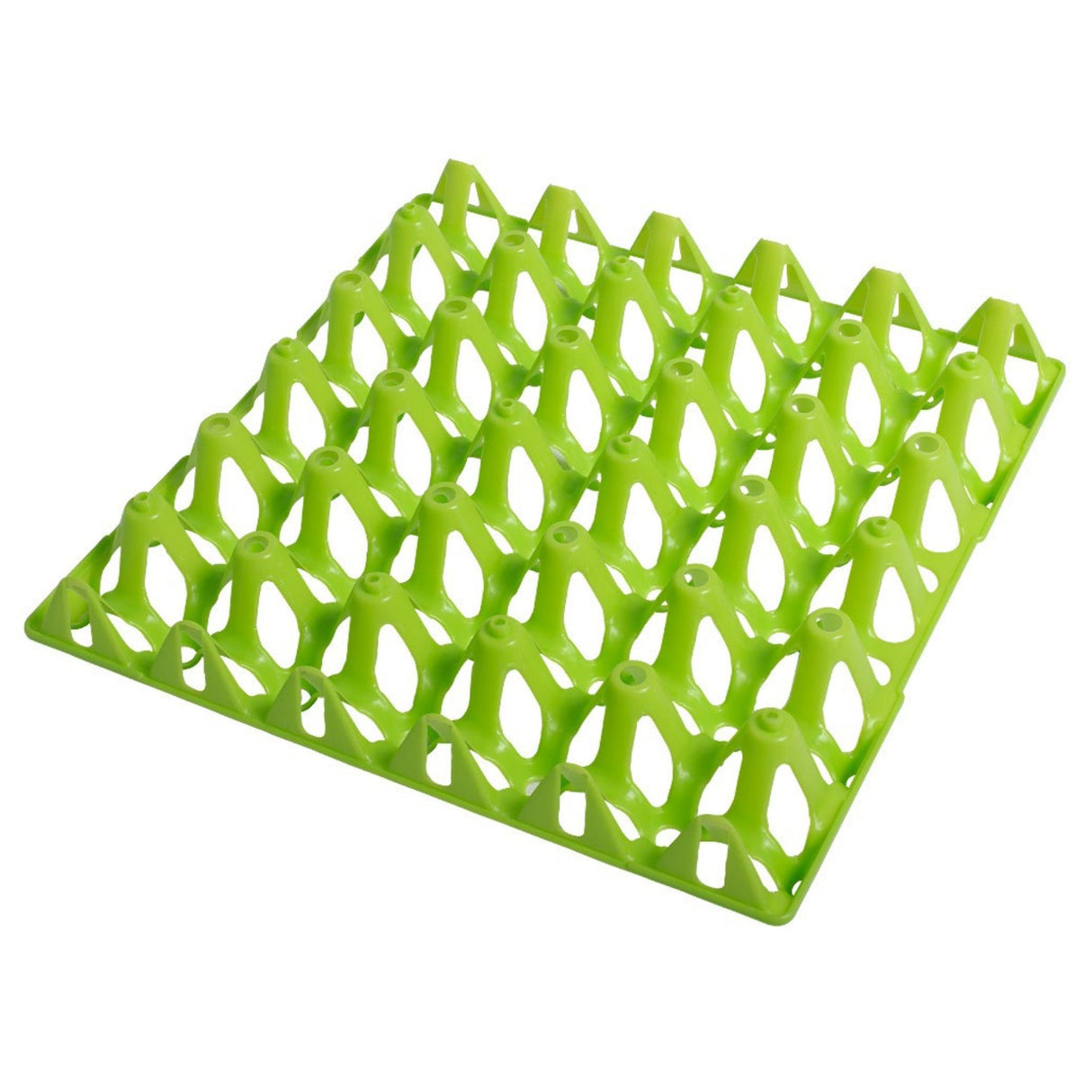 Munakenno Tray 30 Green