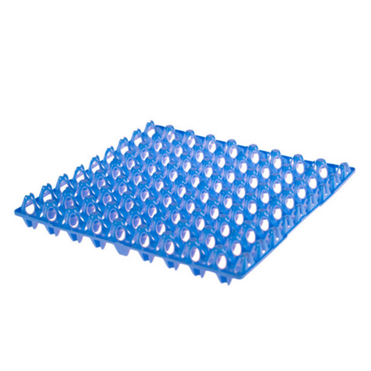 Munakenno Tray 72 Blue