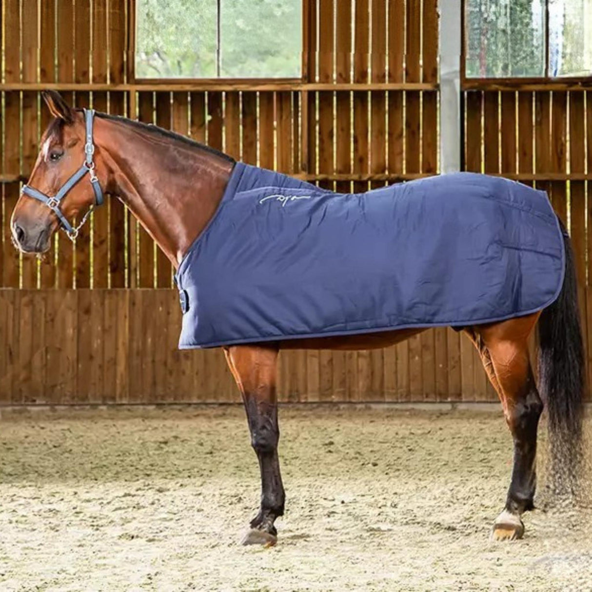 Alustoppaloimi Under Cotton 250 g Navy