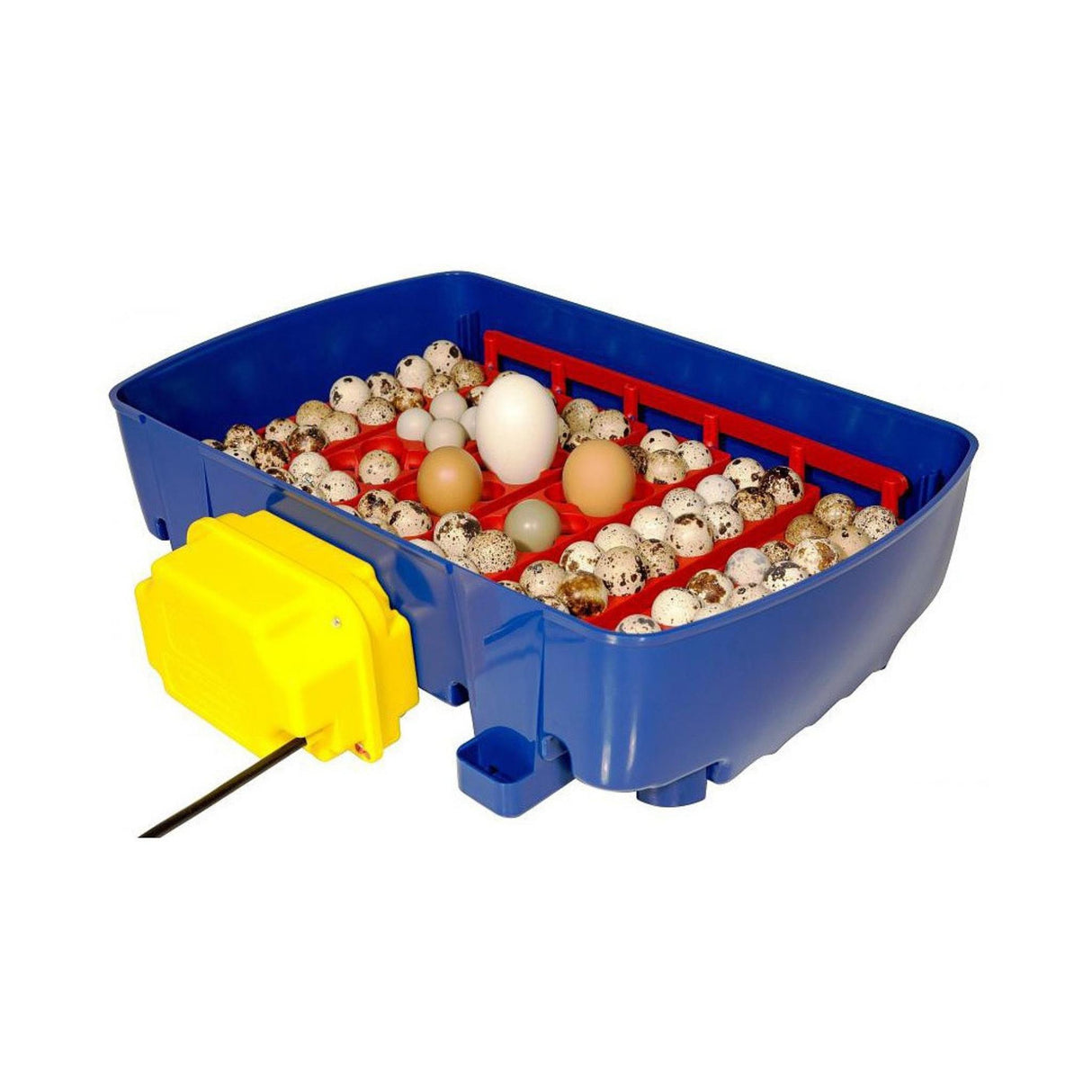 Hautomakone REAL 24 Automatic