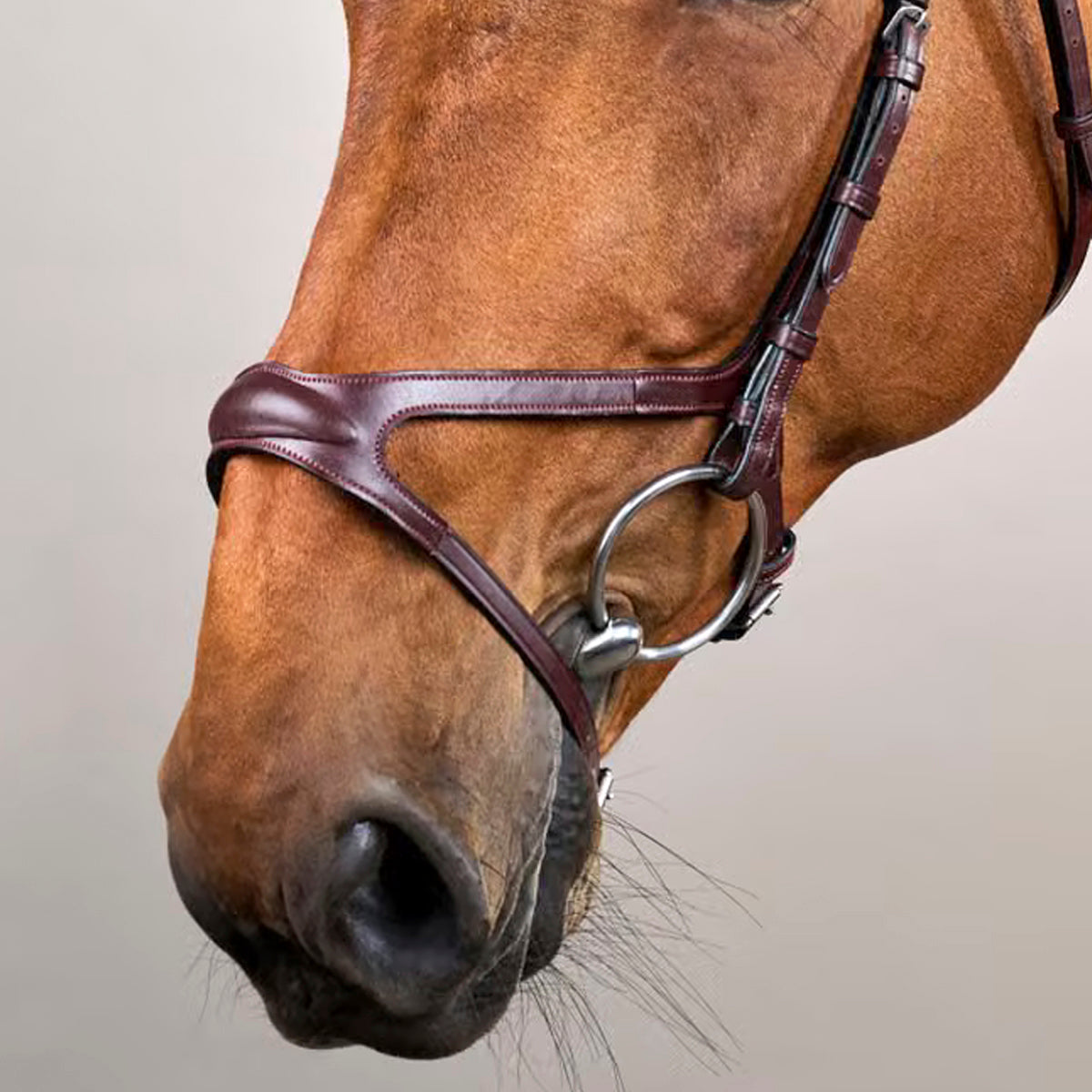 Dyon Noseband X-Fit NE Collection