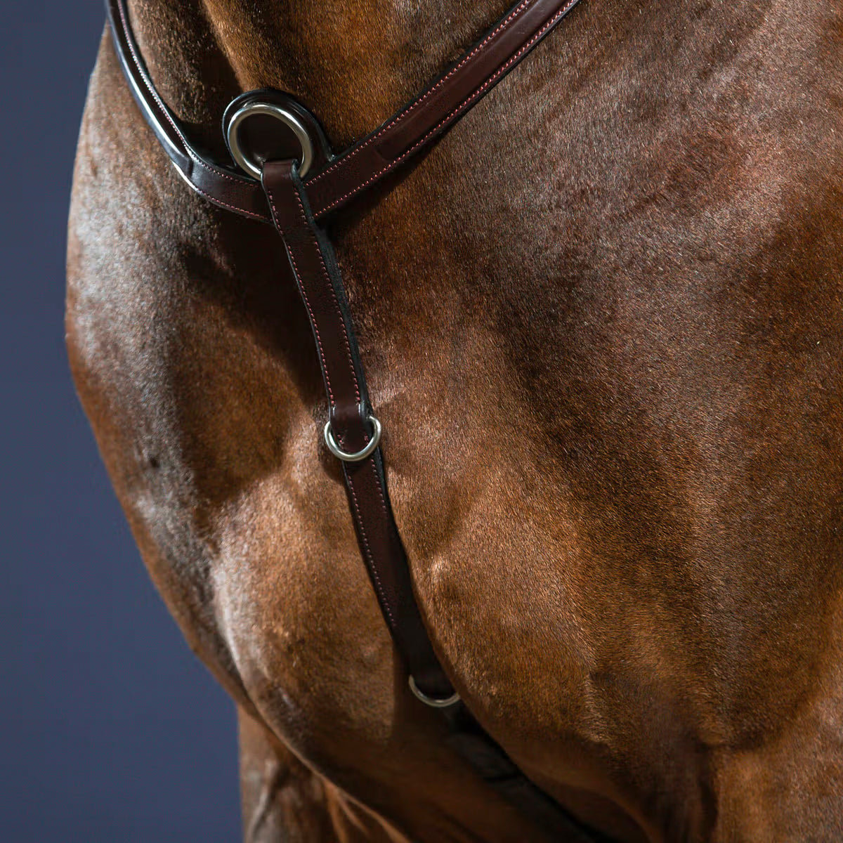 Breastplate Flash NE/US/D Collections