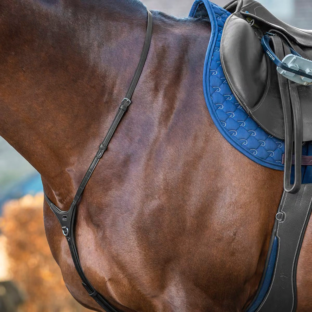 Martingale Yoke NE/US/D Collections