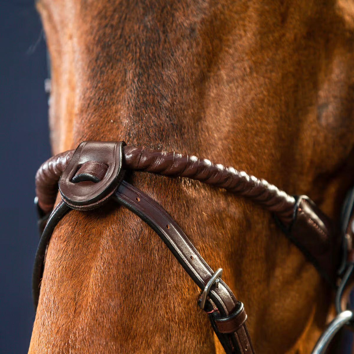 Dyon Nose Strap 1/2" with Removable Attachments NE/US/D Collections