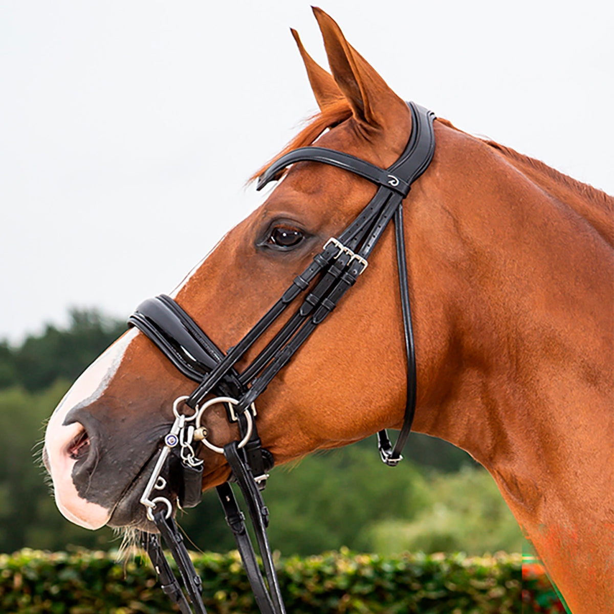 Kankisuitset Large Crank Patent Noseband Dressage Collections