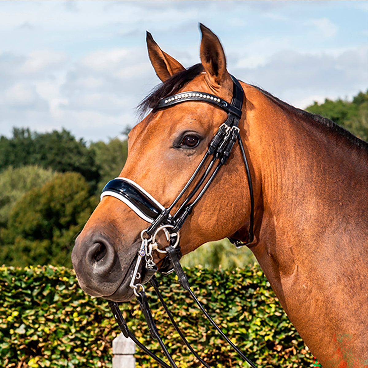 Kankisuitset Large Crank Patent/White Noseband Dressage Round Collections