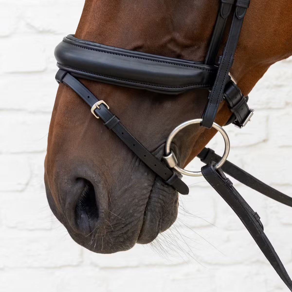 Bridle Matte Medium Crank Noseband Dressage Soft Collection