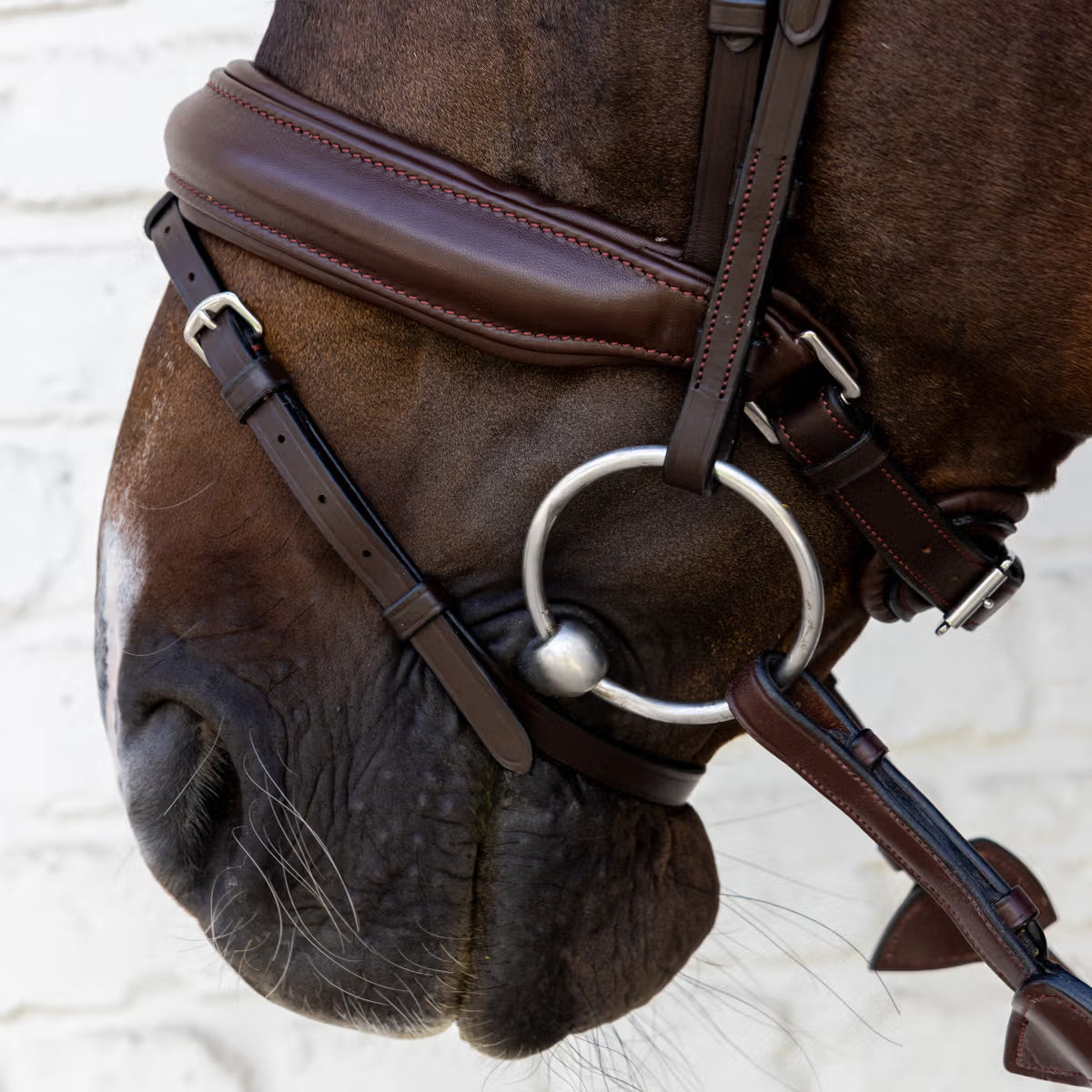 Bridle Matte Medium Crank Noseband Dressage Soft Collection