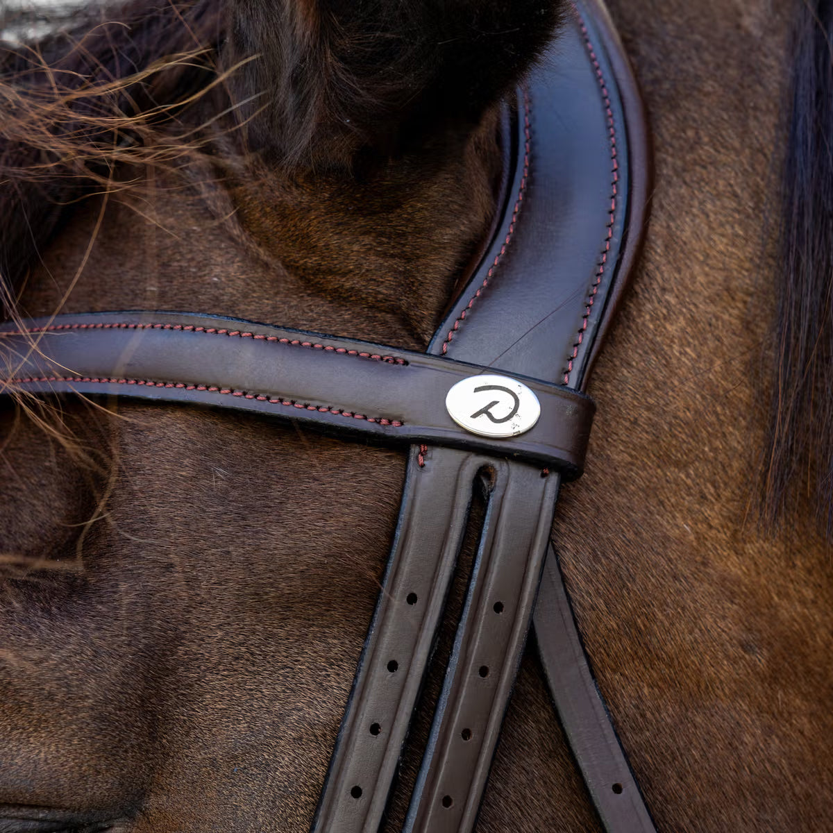 Bridle Matte Medium Crank Noseband Dressage Soft Collection