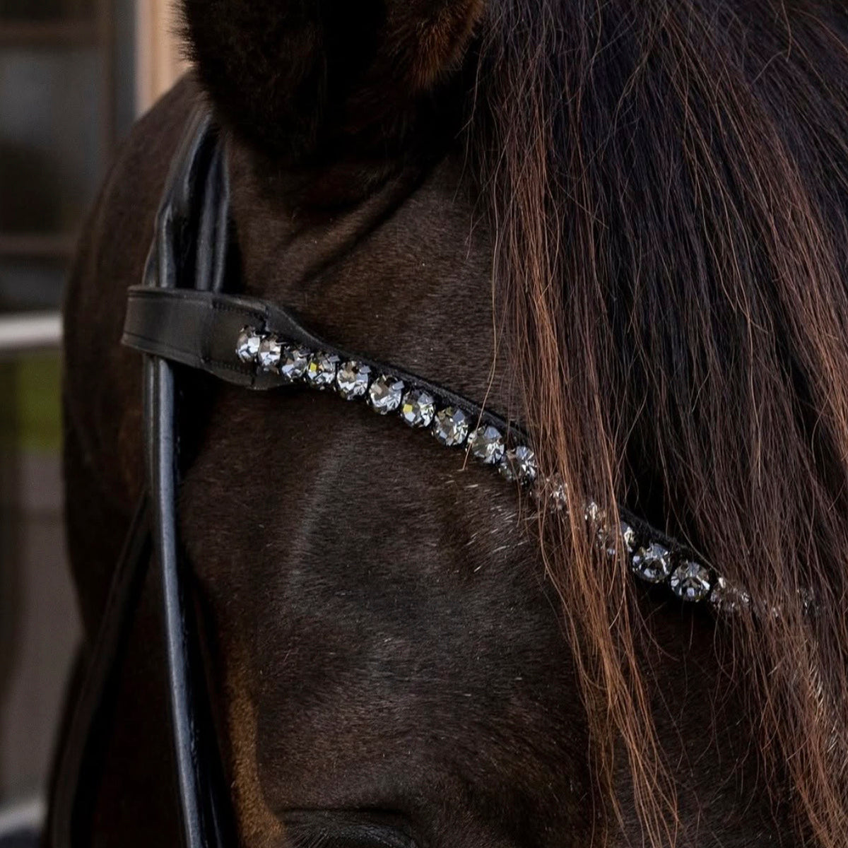 Browband V-Shaped Swarovski Crystals Dressage Soft Collection