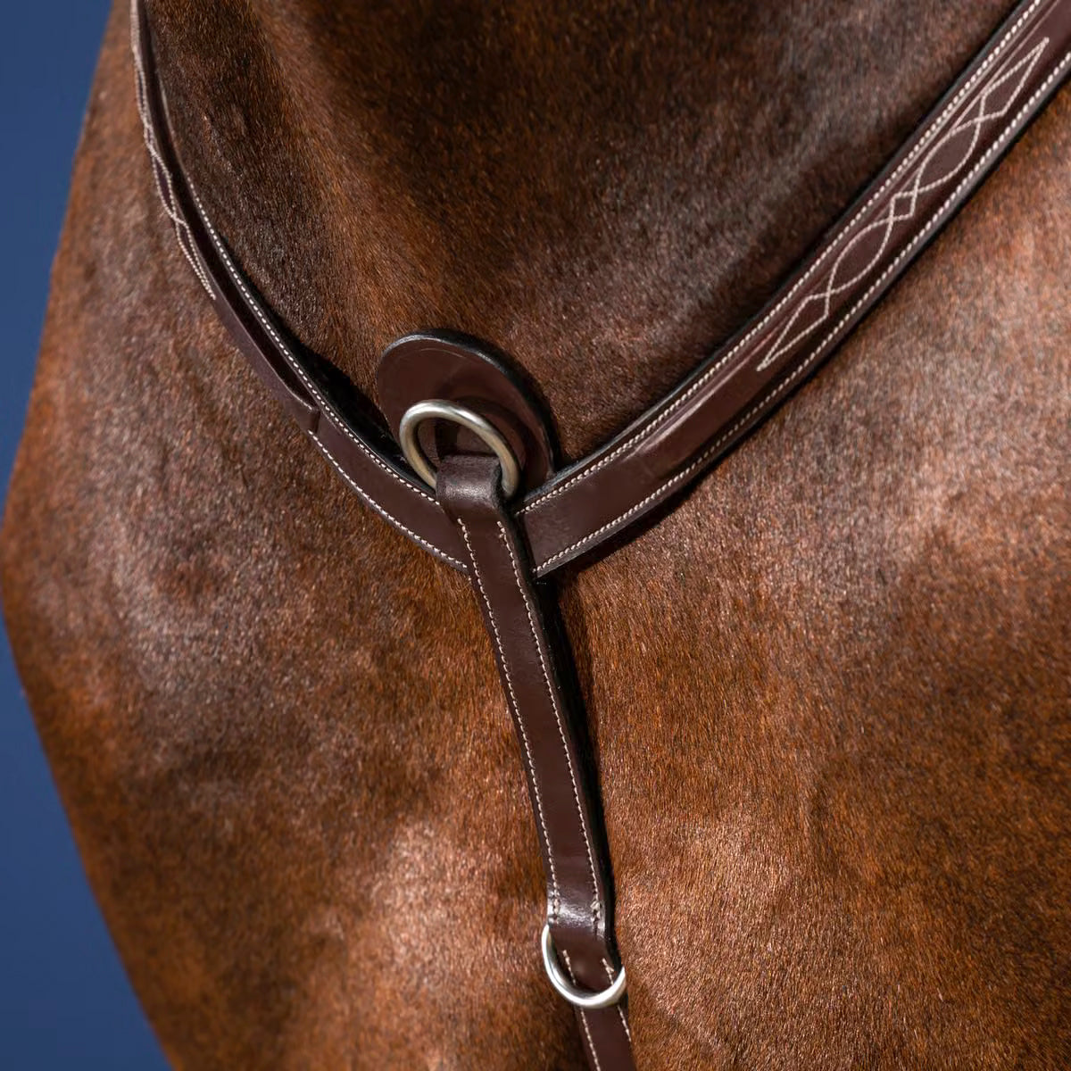 Breastplate Flash NE/US/D Collections