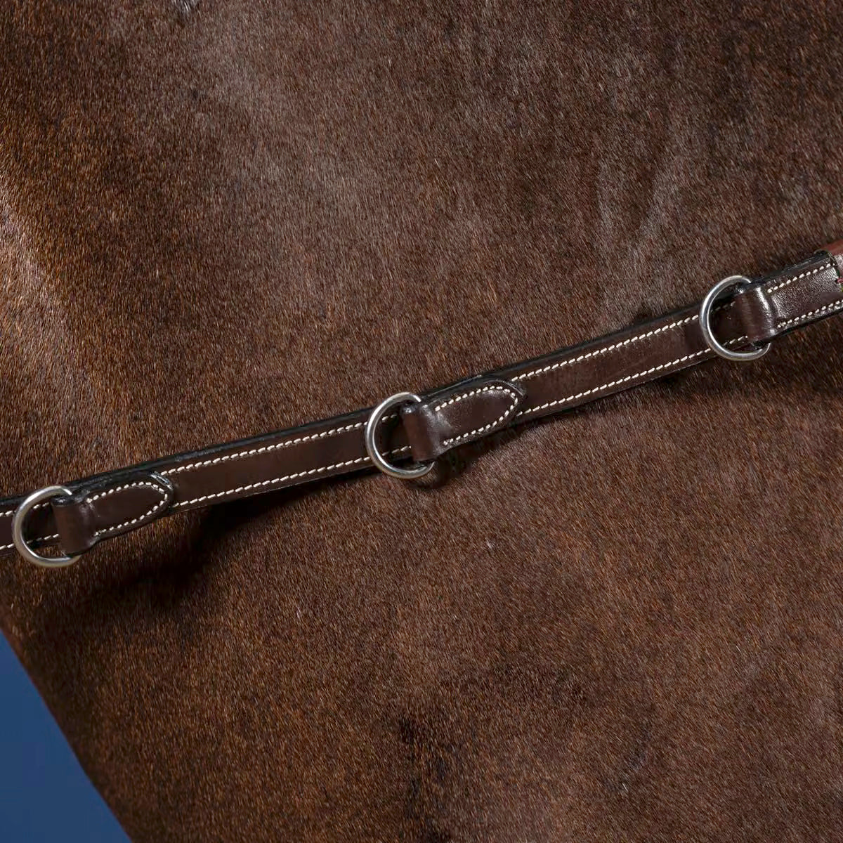 Reins Howlett Rubber 1/2" with 3 D-rings + 7 Leather Loops Working Collection