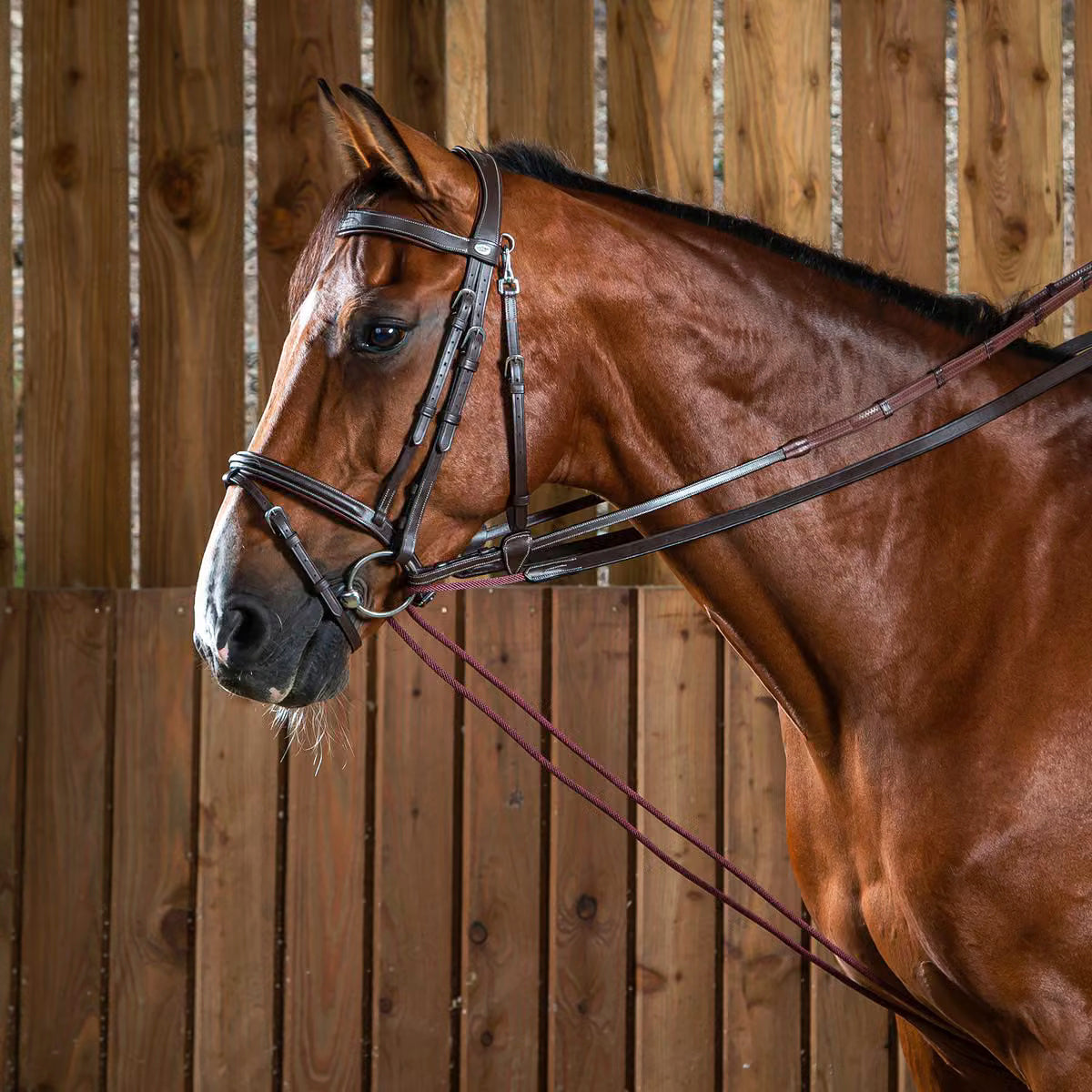 Draw Reins Leather-Nylon 5/8" Working Collection