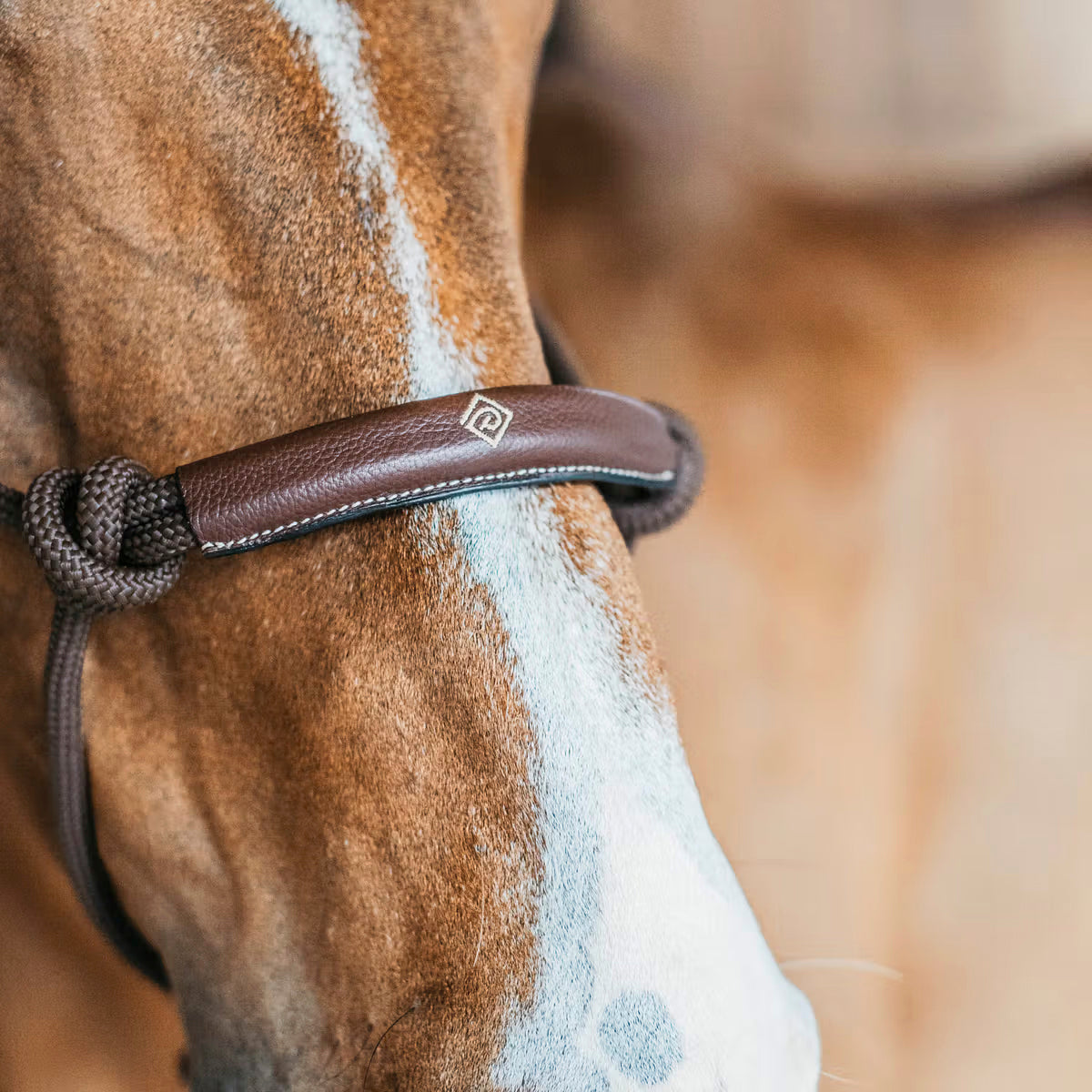 Halter Training Working Collection