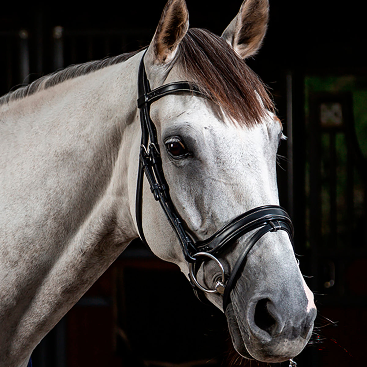 Suitset Fit Noseband Working Collection
