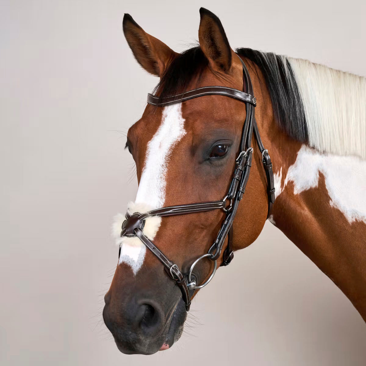 Suitset Figure 8 Noseband Working Collection