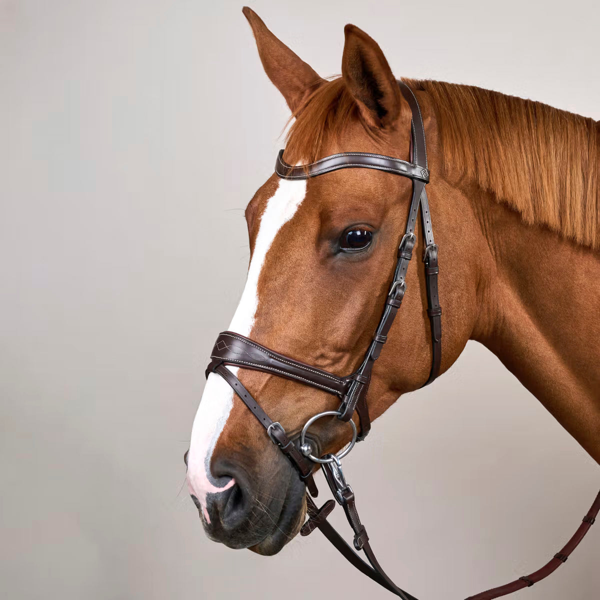 Bridle Motion 3in1 Working Collections