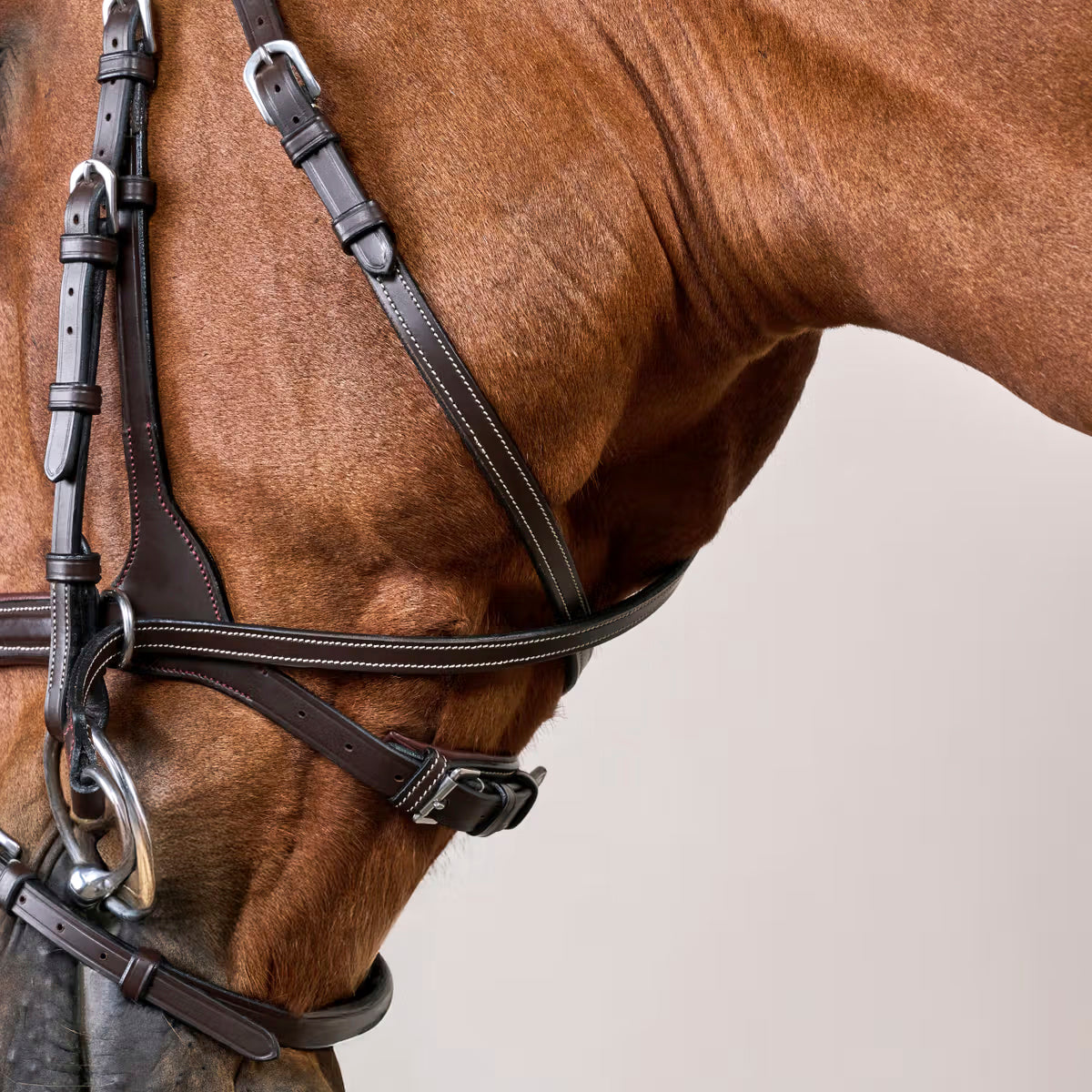 Bridle Motion 3in1 Working Collections