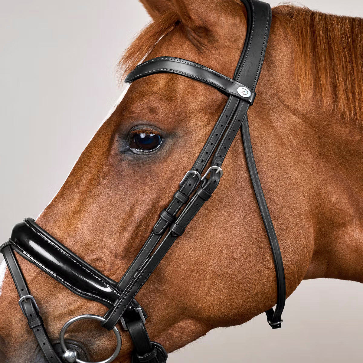 Bridle Patent Large Crank Noseband Working Collections