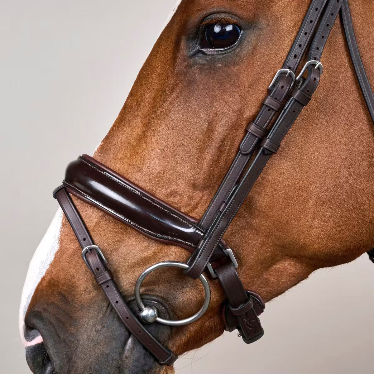 Bridle Patent Large Crank Noseband Working Collections