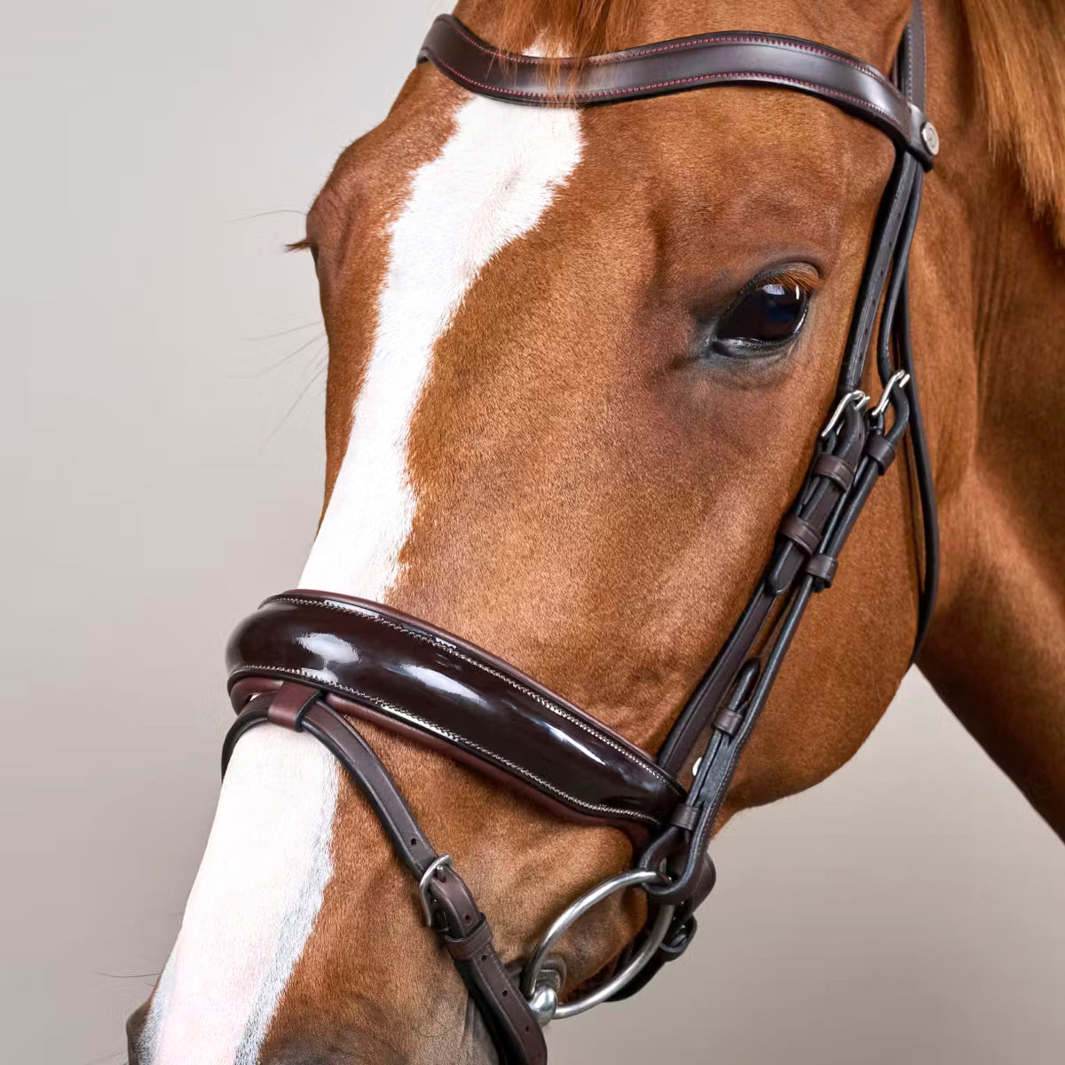 Bridle Patent Large Crank Noseband Working Collections