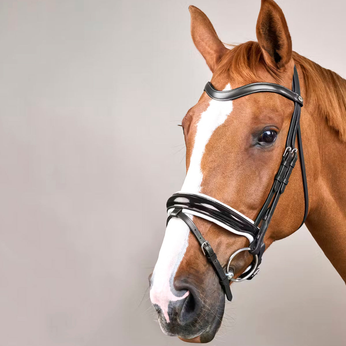 Bridle Patent/White Large Crank Noseband Working Collections