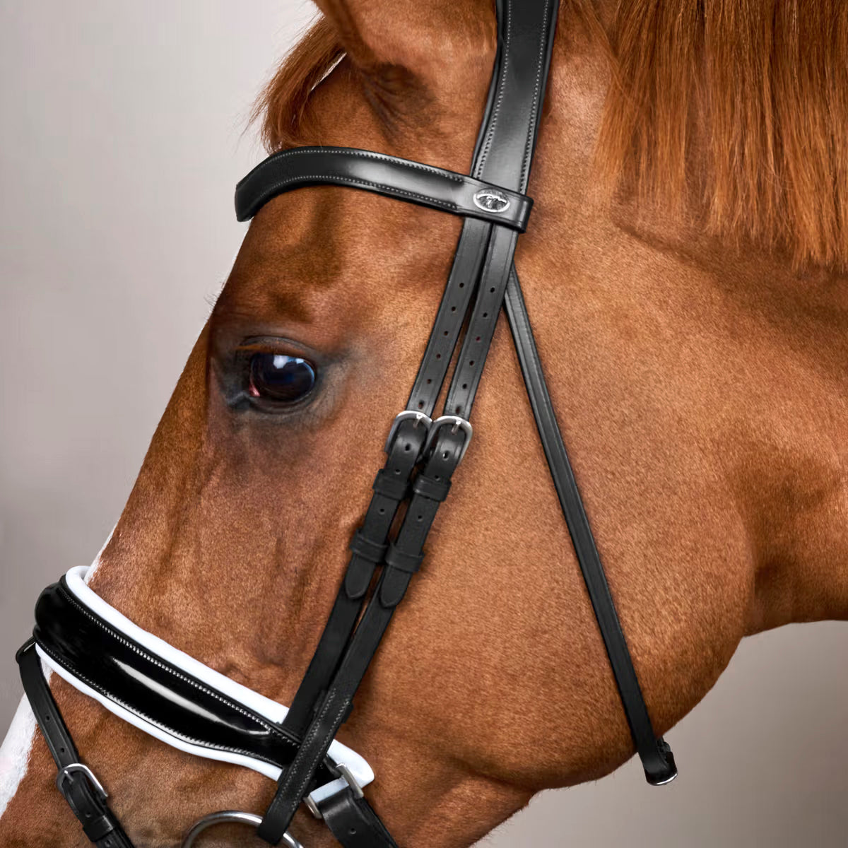 Bridle Patent/White Large Crank Noseband Working Collections
