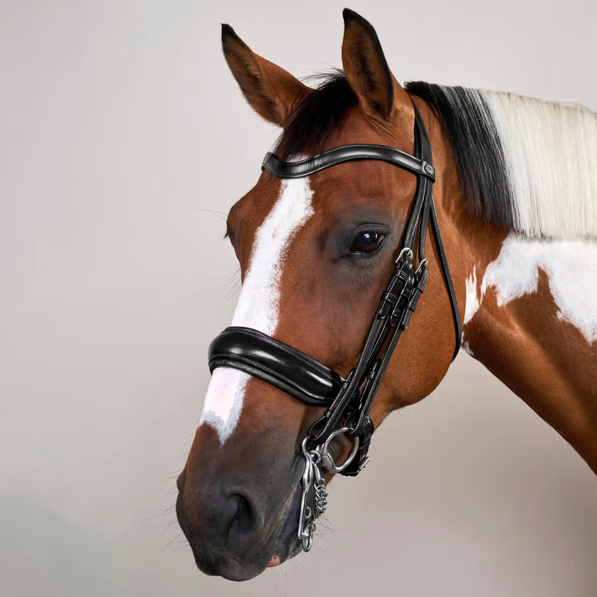 Double Bridle Matte Large Crank Noseband Working Collections