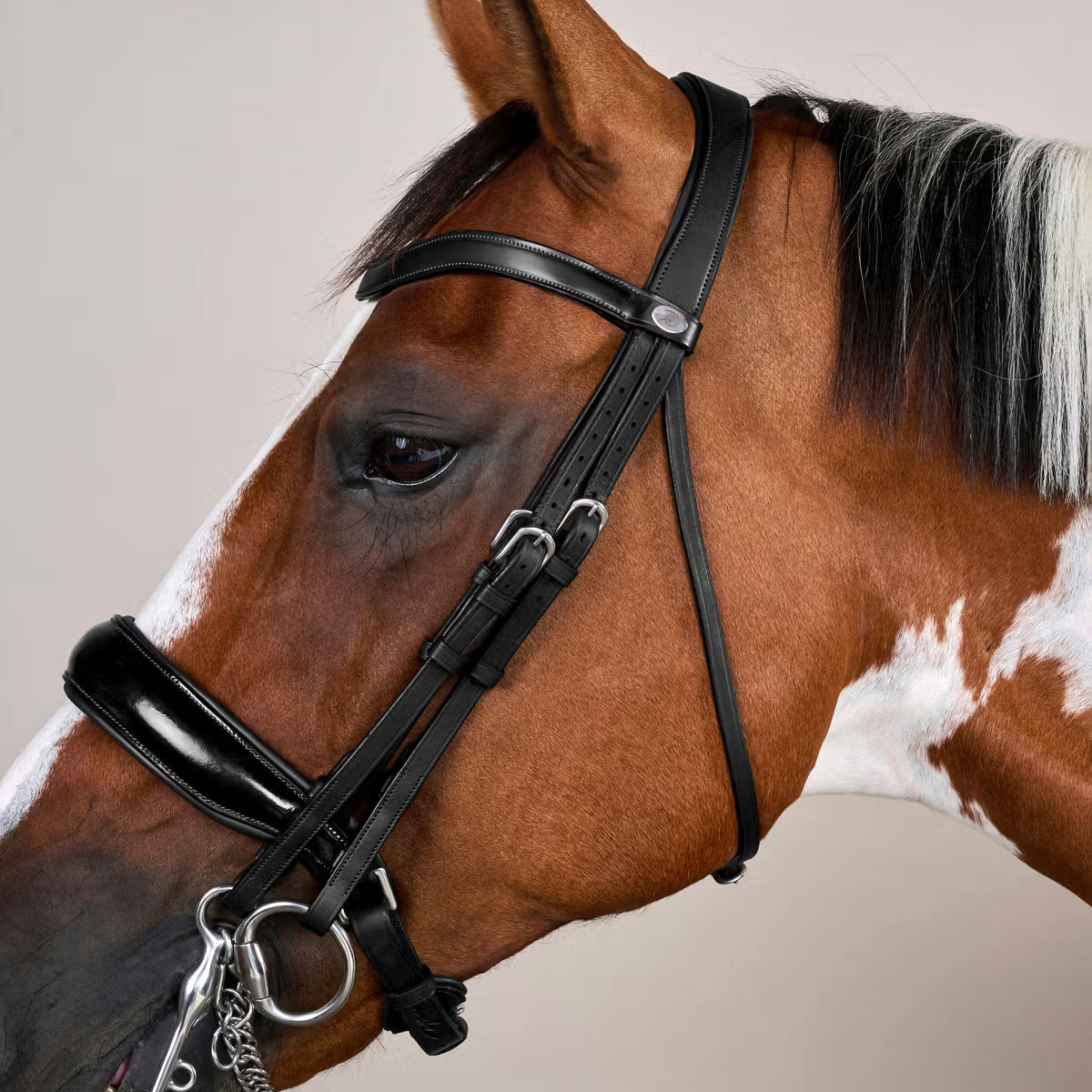 Double Bridle Patent Large Crank Noseband Working Collections