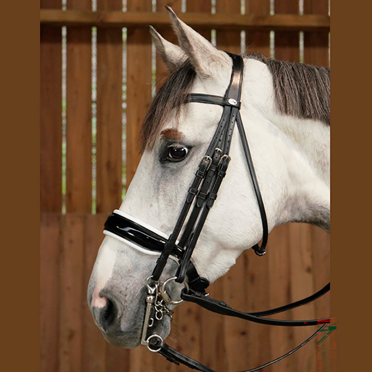 Double Bridle Patent/White Large Crank Noseband Working Collections