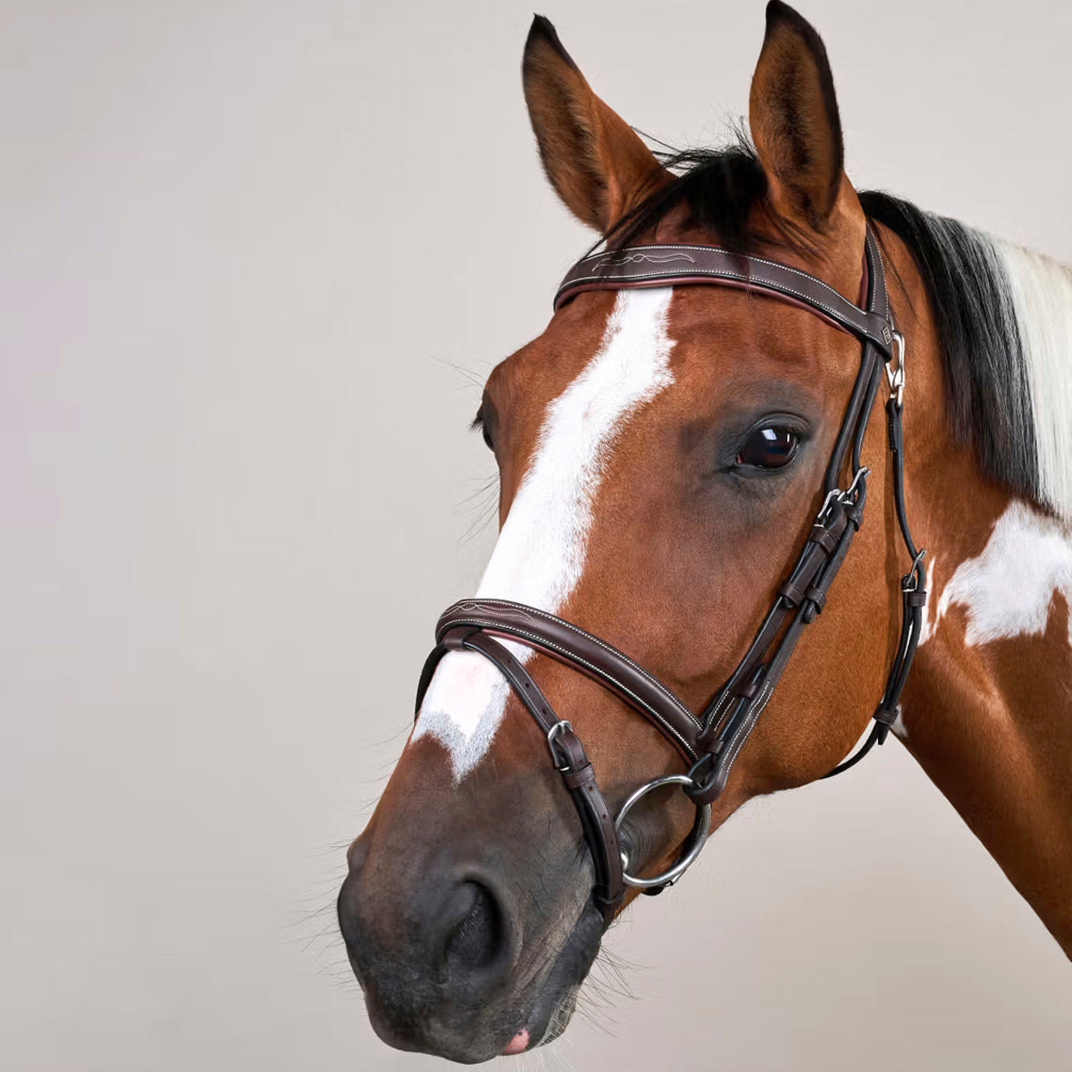 Suitset Fancy Flash Noseband Working Collection