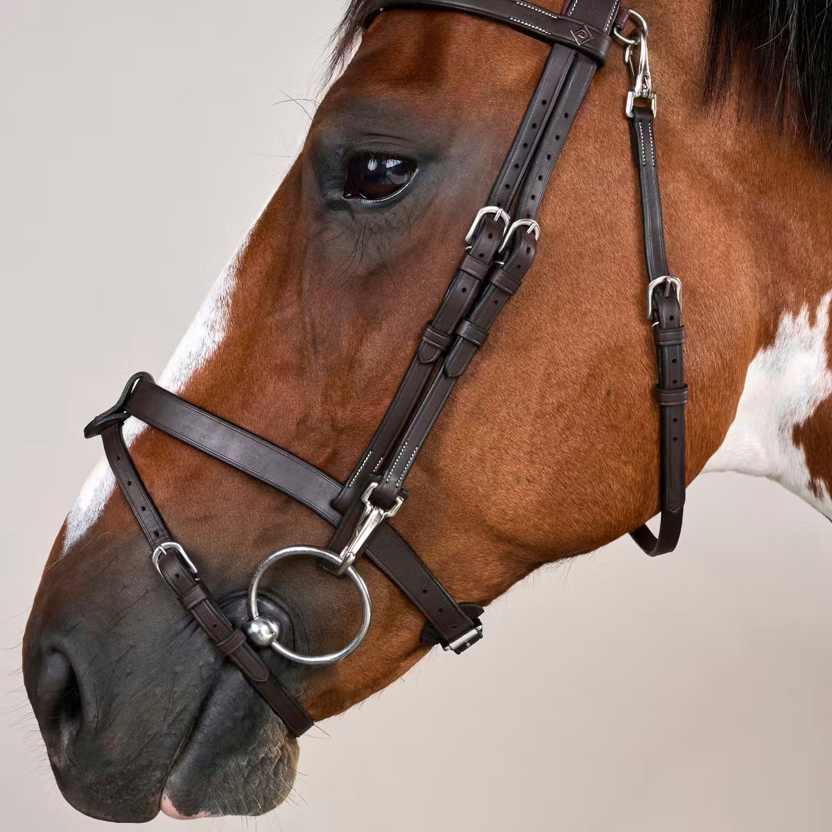 Suitset Flat Flash Noseband Working Collection