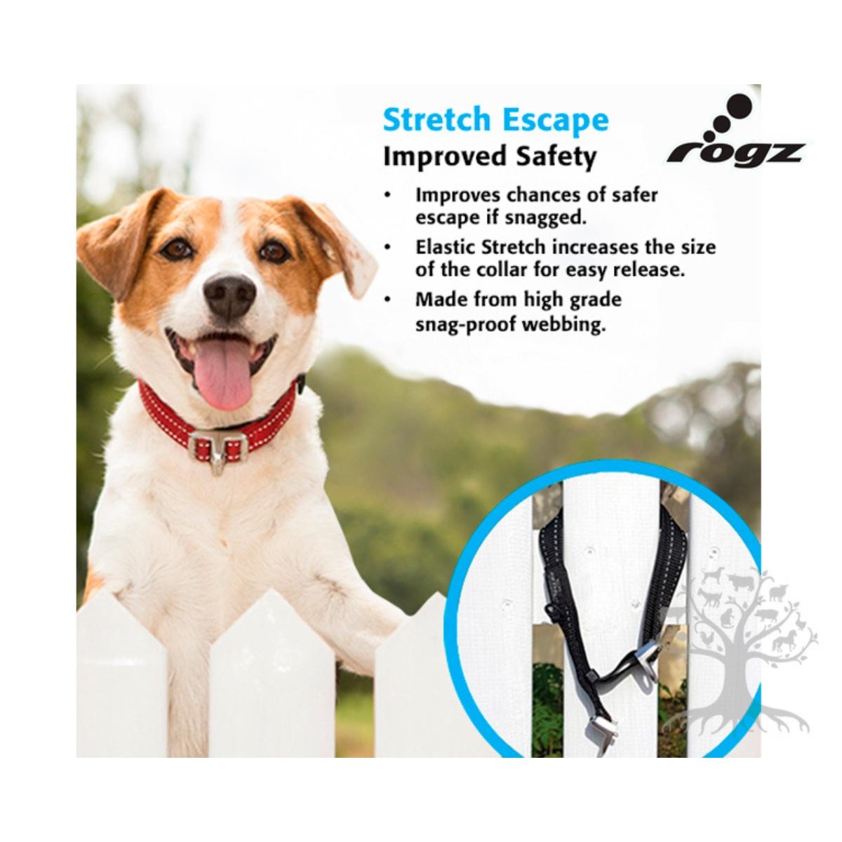 Kaulapanta Utility Safety