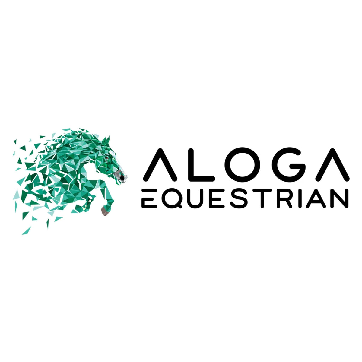 Aloga hyönteisloimet ja kärpäshuput