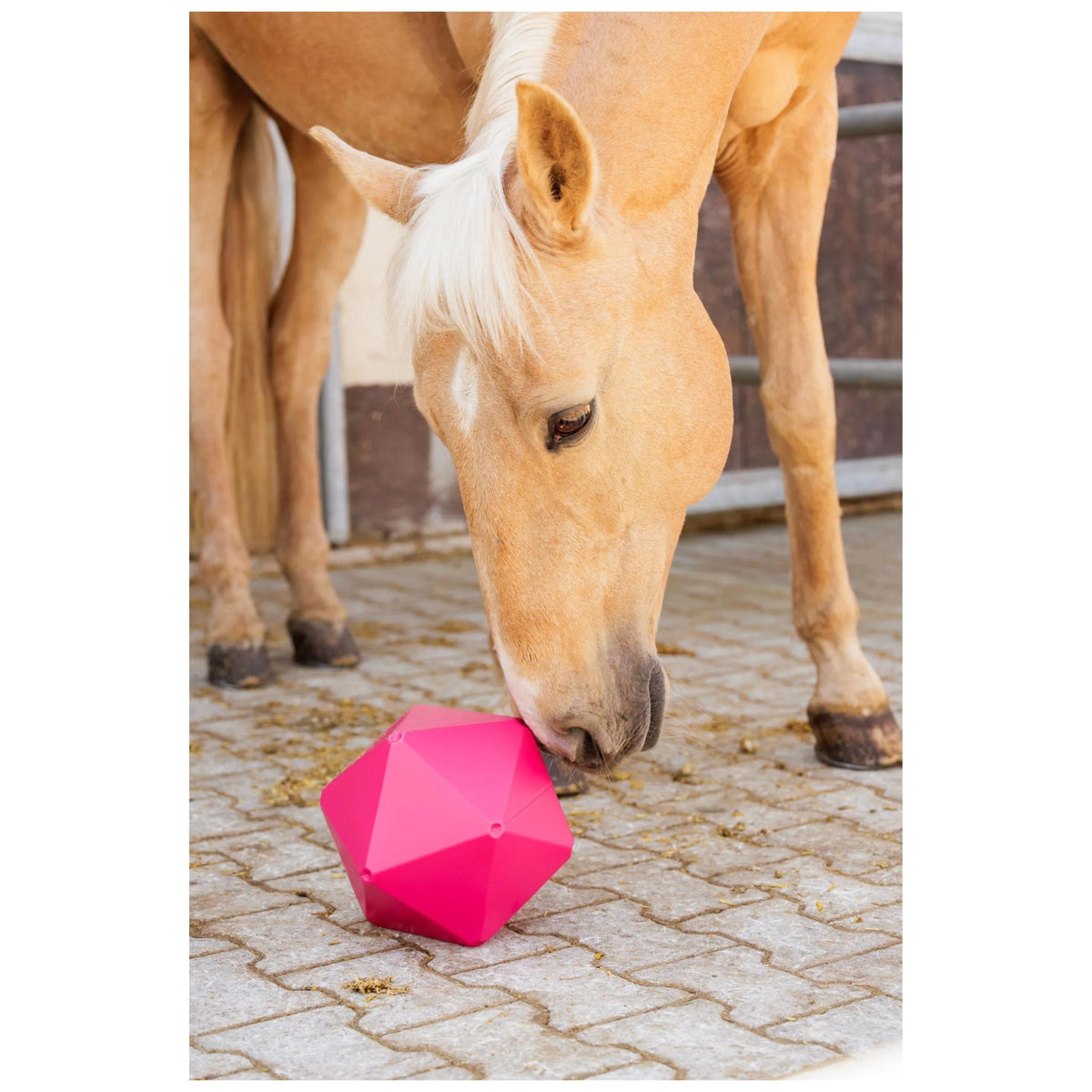 Kerbl Treat and Activity Ball