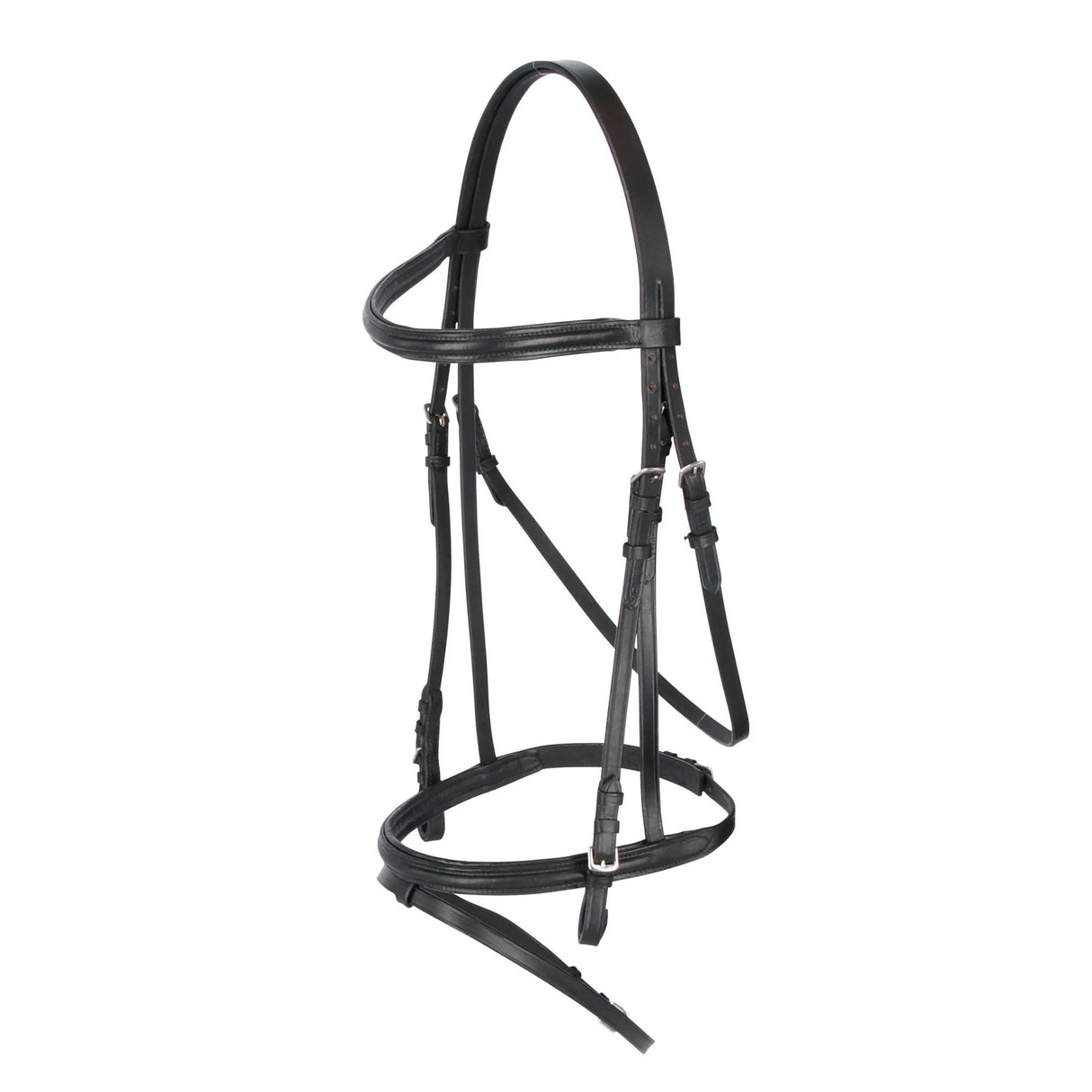 Bridle Coldblood