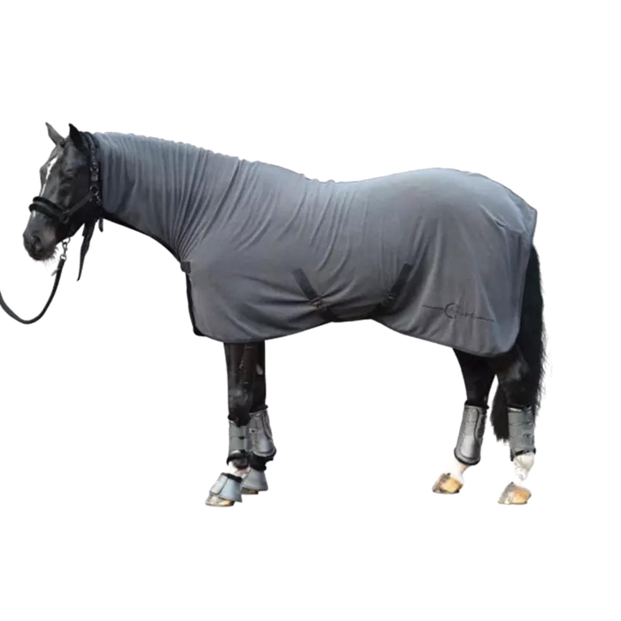 Fleeceloimi High Neck Fleece Anthracite