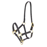 Foal Halter Leather Eco