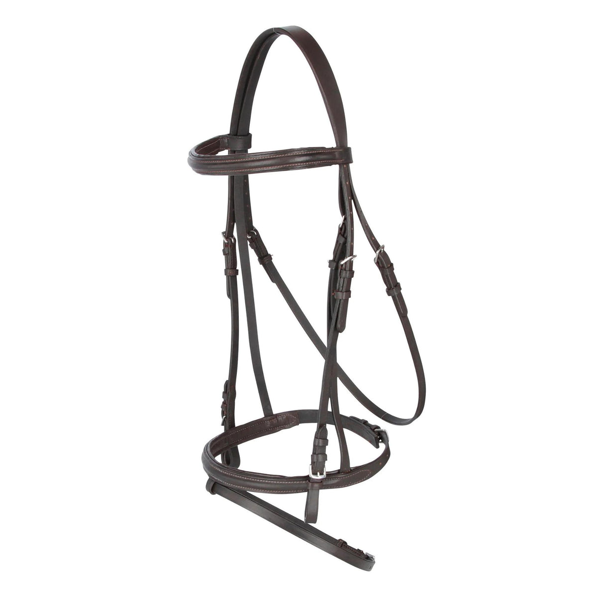 Bridle Coldblood