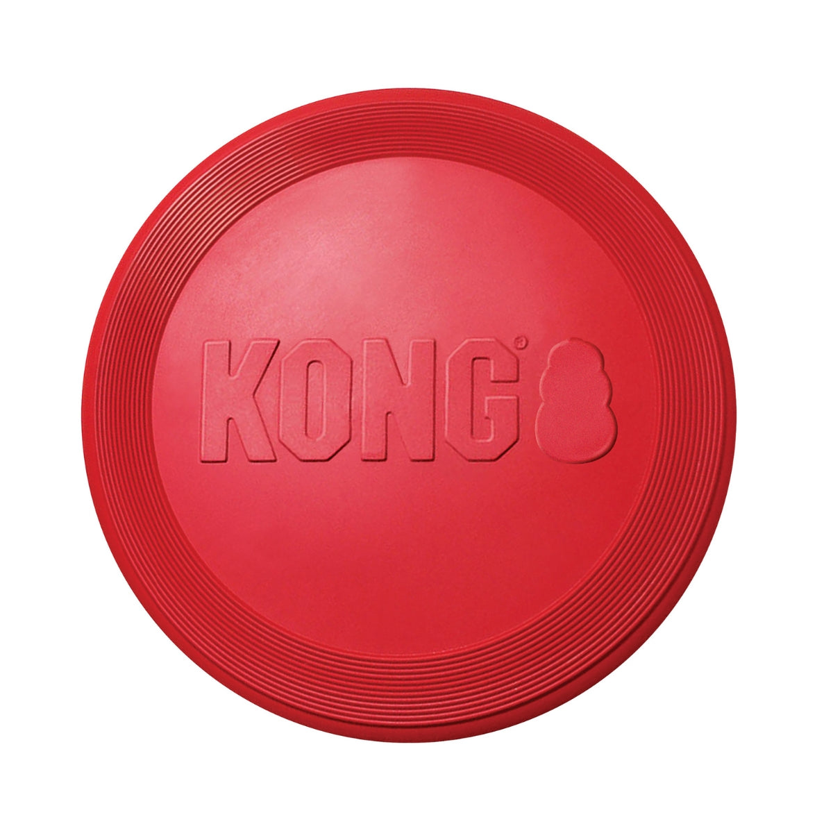 Frisbee Flyer