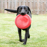 Frisbee Flyer