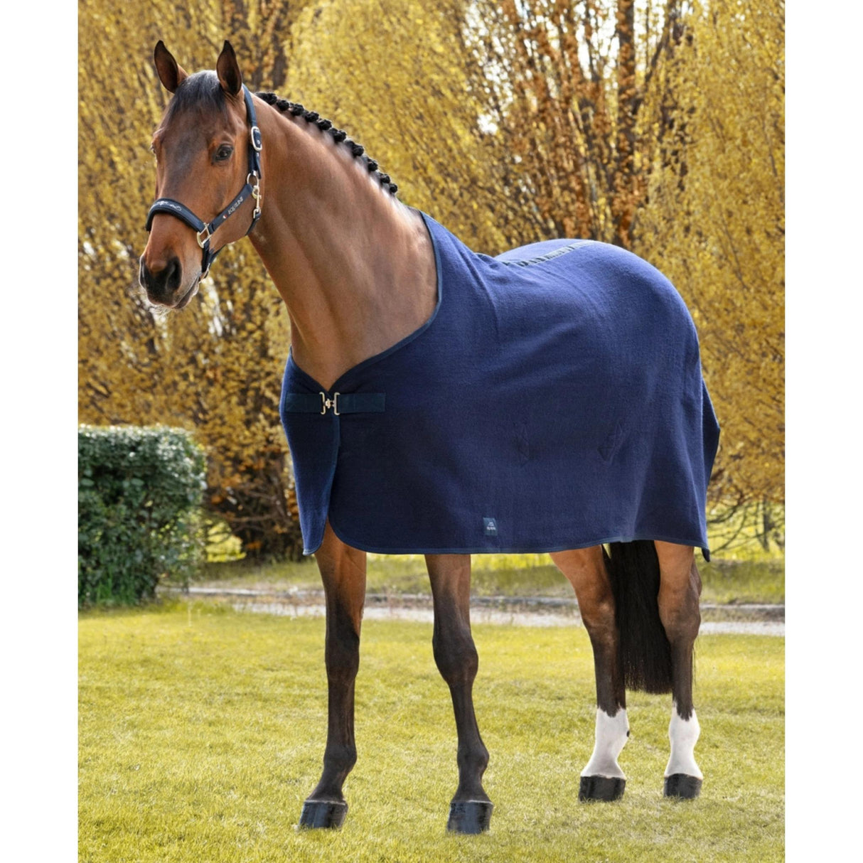 Villaloimi Wool