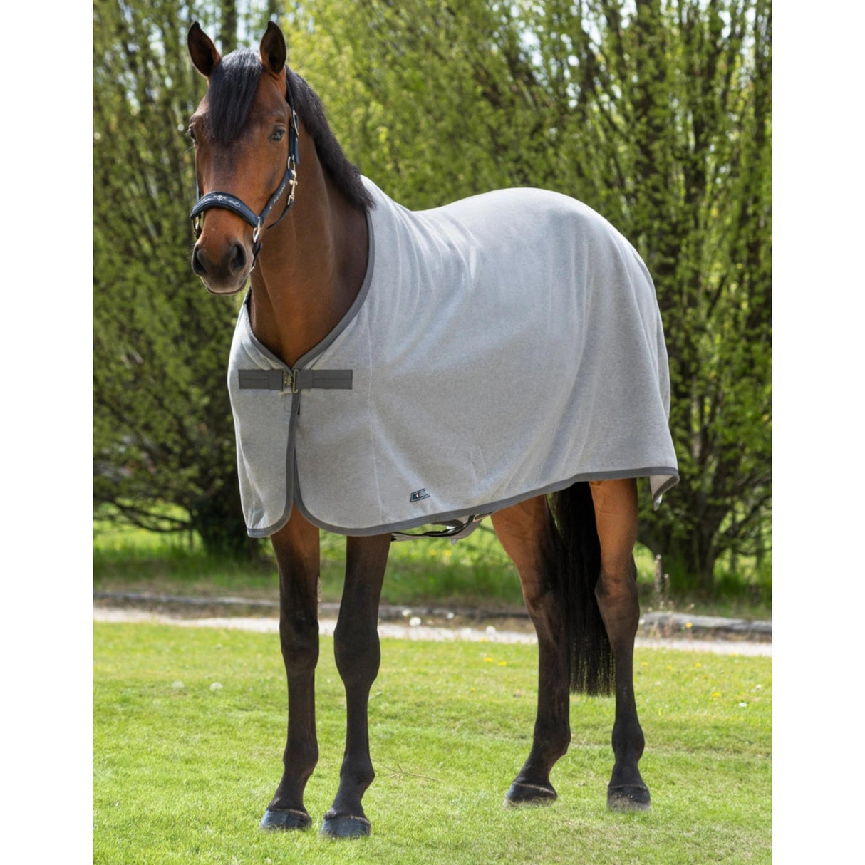 Fleece Rug Hugo