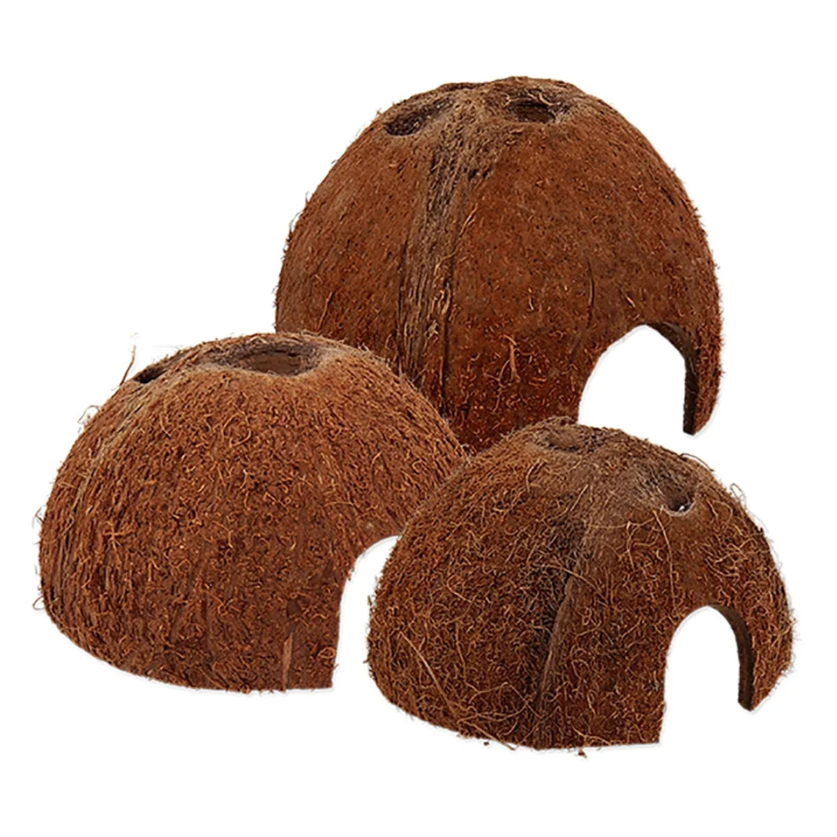 Pesämökki Coco Shell