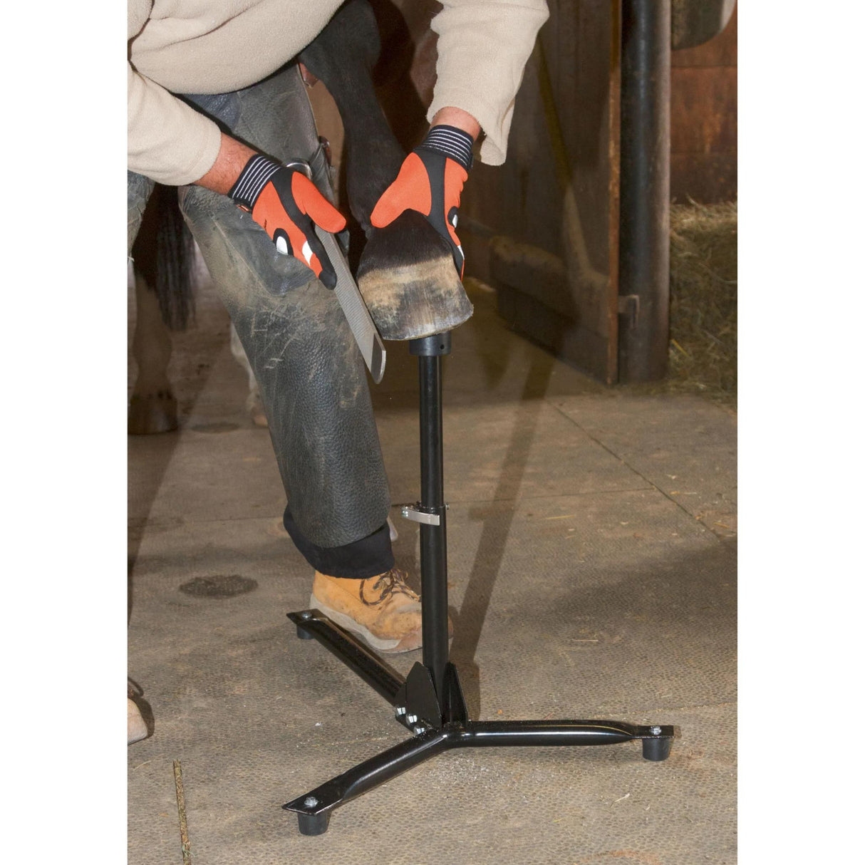Kavioteline EcoFlex 2 in 1