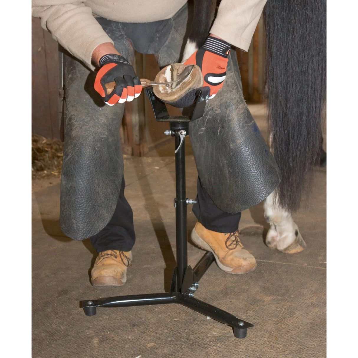 Kavioteline EcoFlex 2 in 1