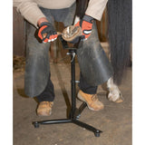 Kavioteline EcoFlex 2 in 1